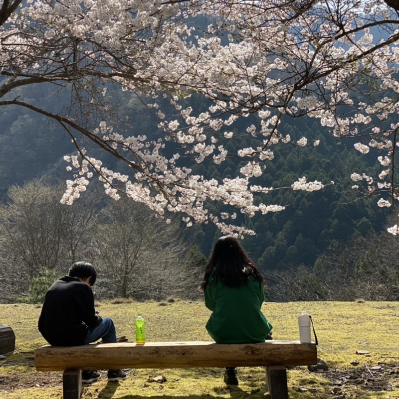 舞鶴　新築　春　桜　新生活