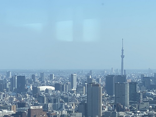 東京　お出かけ　