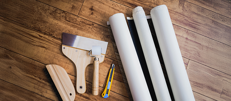 自由研究　まだ間に合う　夏休み　舞鶴