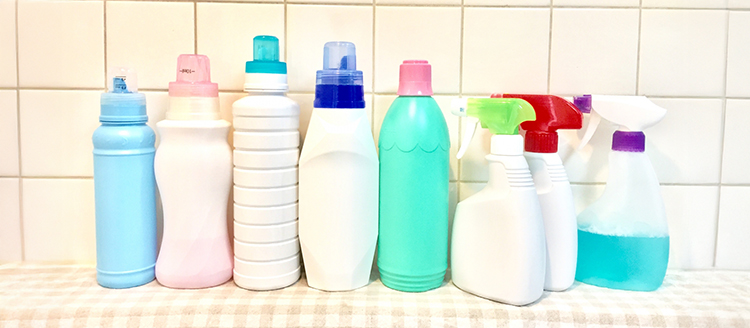 自由研究　まだ間に合う　夏休み　舞鶴